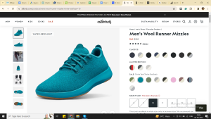 Allbirds shoe page