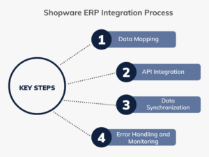 Integrate Shopware with an ERP System